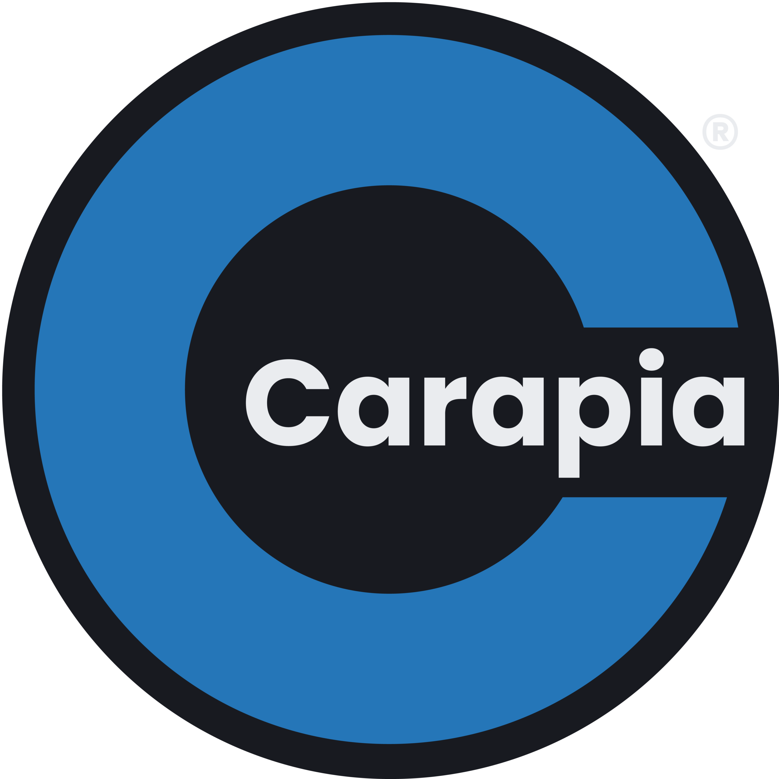 Carapia Soluciones